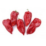 Seminte Ardei Capia Ureche de Elefant, 10g, Productiv, Dulce, Ideal Copt, Rezistent Boli