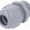 Presetupa poliamida, PG13,5, IP68, LAPP - 53015130