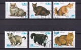Serie completă de 6 timbre tematice &bdquo;Rase de Pisici (Gatos de Raza)&rdquo; &ndash; Cuba &ndash; 1994