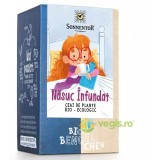 Ceai de Plante Nasuc Infundat Ecologic/Bio 18dz
