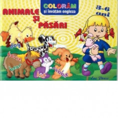 Coloram si invatam engleza : Animale si pasari (3-6 ani)