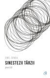 Sinestezii tarzii - Curtea Veche