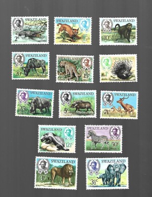 SWAZILAND ANIMALE SARNIERA foto