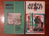 Judetul Neamt + Municipiul Piatra Neamt 1969 / C45P, Alta editura