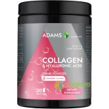 Collagen si Acid Hialuronic Pulbere Instant cu Aroma de Zmeura 600g