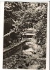 CPI B14288 CARTE POSTALA - SLANIC MOLDOVA. ALEEA IZVOARELOR, RPR, Necirculata, Fotografie