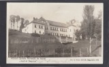 Carte Postala Romania - Alba - Abrud - Scoala Normala de baieti Andrei Saguna