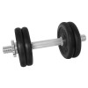 Gantera 12kg DHS Fitness, Set 4 Discuri Otel, Argintiu-Negru, Bara 35cm, Filetata, Ultimate FactoryBikes