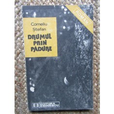 DRUMUL PRIN PADURE - Corneliu Stefan, 1989