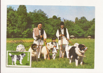 CA9 -Carte Postala-Asociatia chinologilor din R.S.R. Ciobanesc ,circulata 1983 foto