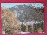 CPIB 23414 CARTE POSTALA - POIANA BRASOV. VEDERE, NECIRCULATA, Fotografie
