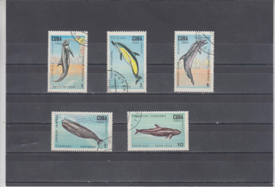 M2 TS3 5 - Timbre foarte vechi - Cuba - delfini foto