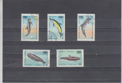 A12 S5 7 - Timbre foarte vechi - Cuba - delfini foto