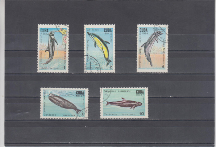 M2 TS3 5 - Timbre foarte vechi - Cuba - delfini