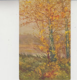 D11 A 57 - Felicitare de colectie - tematica natura - anii 1930