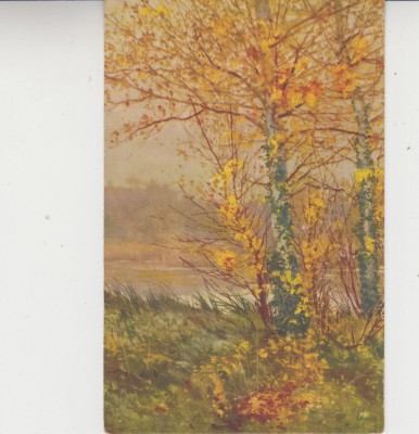 D11 A 57 - Felicitare de colectie - tematica natura - anii 1930 foto