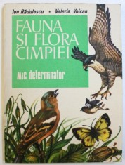 FAUNA SI FLORA CAMPIEI - MIC DETERMINATOR de ION RADULESCU si VALERIA VOICAN , 1986