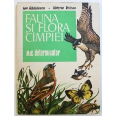 FAUNA SI FLORA CAMPIEI - MIC DETERMINATOR de ION RADULESCU si VALERIA VOICAN , 1986