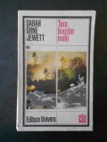SARAH ORNE JEWETT - TARA BRAZILOR INALTI