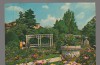 CPIB 17132 CARTE POSTALA - TIMISOARA. PARCUL ROZELOR, Circulata, Fotografie