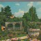 CPIB 17132 CARTE POSTALA - TIMISOARA. PARCUL ROZELOR