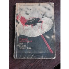 PLANTE MEDICINALE DIN FLORA SPONTANA - CORNELIU CONSTANTINESCU