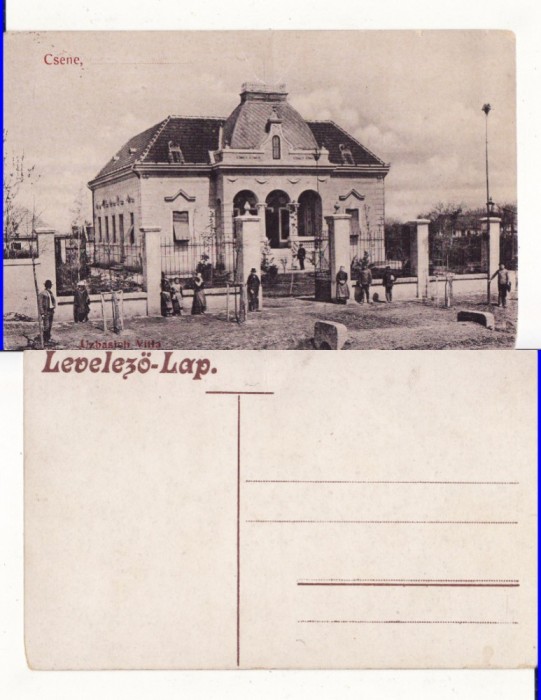 Cenei , Csene (Timis) - Vila Uzbasich