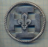 Y 1117 INSIGNA VECHE -CERCETASIE-CERCETASI-SCOUTS DE FRANCE -PENTRU COLECTIONARI