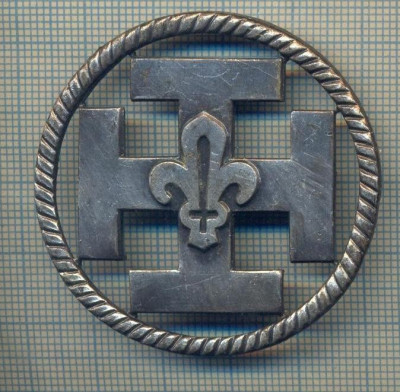 Y 1117 INSIGNA VECHE -CERCETASIE-CERCETASI-SCOUTS DE FRANCE -PENTRU COLECTIONARI foto