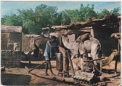 bnk cp Ciad - Fort Lamy - Moara de ulei - uzata foto