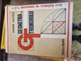 Geometria triunghiului vintage