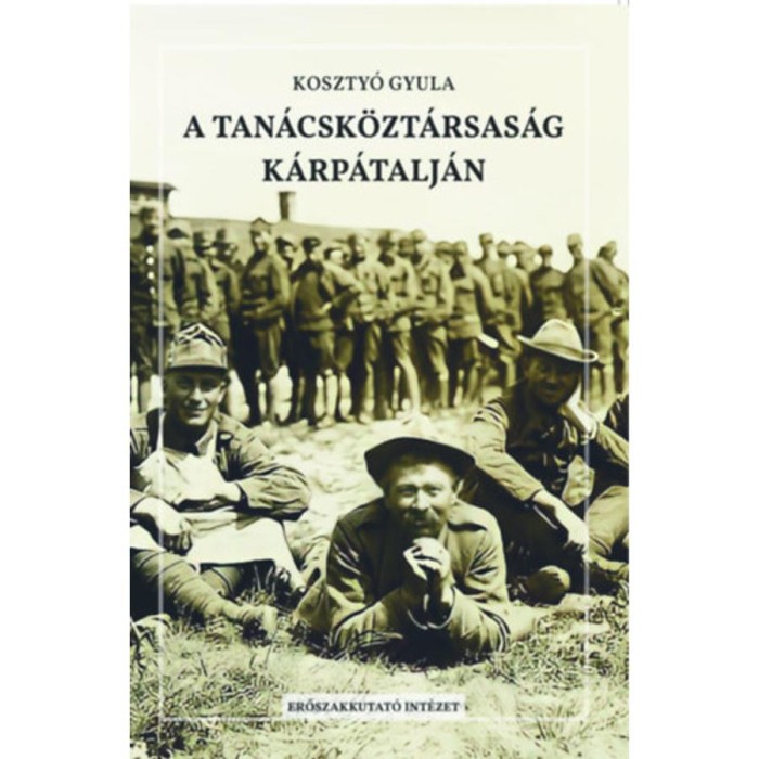 A Tan&aacute;csk&ouml;zt&aacute;rsas&aacute;g K&aacute;rp&aacute;talj&aacute;n - Koszty&oacute; Gyula