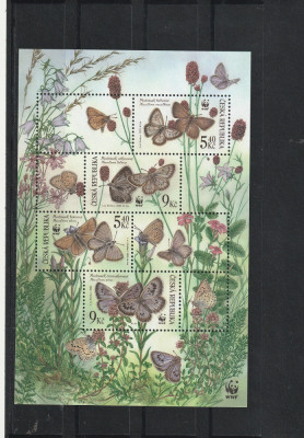 Fluturi,flora specifica WWF,Cehia. foto