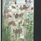 Fluturi,flora specifica WWF,Cehia.