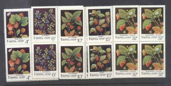 Russia 1982 Flowers x 4 MNH DC.018