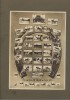 Emil Fischer Sibiu, fotografie Scoala cavalerie: Promotia 1935 instructori