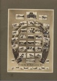 Emil Fischer Sibiu, fotografie Scoala cavalerie: Promotia 1935 instructori