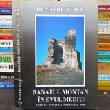 BANATUL MONTAN &icirc;n Evul Mediu - Dumitru Țeicu - Editura Banatica, Banat, Timișoara, 1998