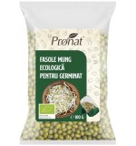 Fasole Mung Bio Germinare Pronat 100g - Seminte Ecologice pentru Consum