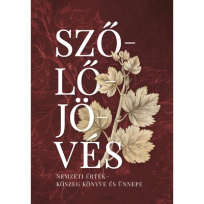 Szőlőj&amp;ouml;v&amp;eacute;s - Nemzeti &amp;eacute;rt&amp;eacute;k - Kőszeg k&amp;ouml;nyve &amp;eacute;s &amp;uuml;nnepe - Sz&amp;ouml;v&amp;eacute;nyi Zsolt foto