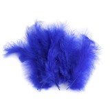 Set 20 pene decorative strut, lungime 9-16 cm, Albastru regal