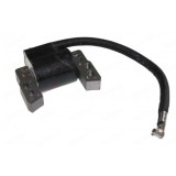 Cumpara ieftin Aprindere Briggs-Stratton 796964