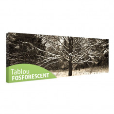 Tablou fosforescent Inzapezit foto