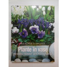 Plante in vase pentru toate anotimpurile - Reader&#039;s Gigest