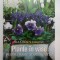 Plante in vase pentru toate anotimpurile - Reader&#039;s Gigest