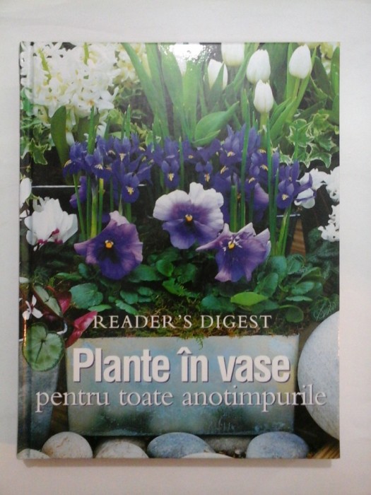 Plante in vase pentru toate anotimpurile - Reader&#039;s Gigest