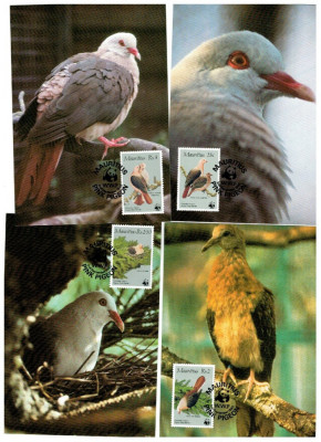 Mauritius 1985 - Pasari, porumbei, fauna WWF, serie maxime foto