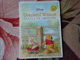 Ursuletul Winnie, Cartea cu amintiri (seria Disney) (6)