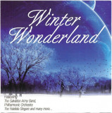 CD Winter Wonderland, original, holograma, Jazz