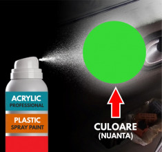 Spray Profesional RAL6018 pentru vopsire elemente din plastic sau metal foto